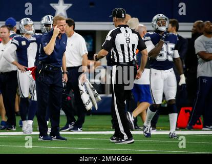 Game officials pose on the field before an NFL football game between the Minnesota  Vikings and the Chicago Bears, Sunday, Dec. 30, 2018, in Minneapolis. Shown  are replay assistant Willie Vizoso, from