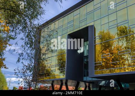 This photo illustrates the Itten contrasts of organic vs. artificial as autumn leaves are reflected in the glass of the Perimeter Institute. Stock Photo