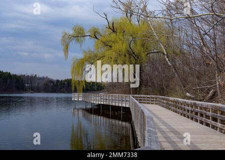 Here's part of the stroller-friendly boardwalk at the man-made Kelso Lake in the Kelso Conservation Area near Milton, Ontario, Canada. Stock Photo