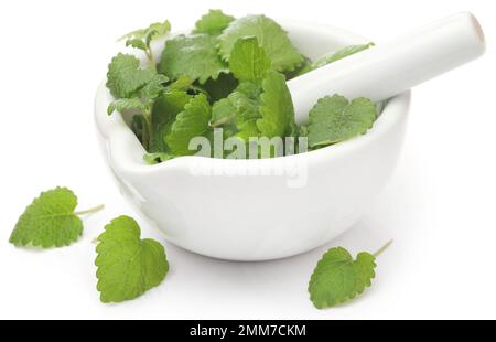 Fresh leaves of lemon balm in a mortar with pestle Stock Photo
