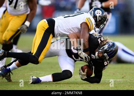 The Washington Football Team Entertainment Team performs wearing Sean Taylor  memorabilia during an NFL football game against the Kansas City Chiefs,  Sunday, Oct. 17, 2021 in Landover, Md. (AP Photo/Daniel Kucin Jr