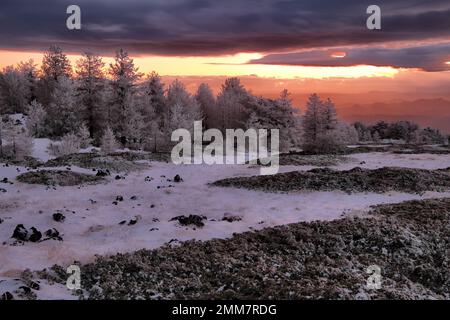 red sunset on winter landscape with pine trees and volcano rocks snow covered in Sicily, Etna National Park, Italy Stock Photo