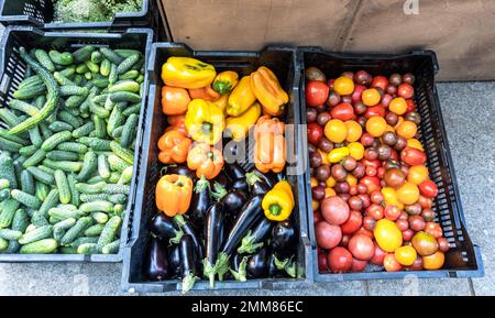 Cucumbers, peppers, eggplants and tomatoes in plastic boxes at a farmer's market Stock Photo