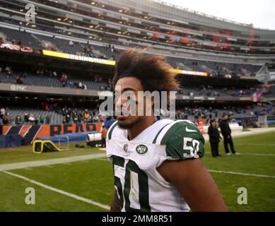 East Rutherford, New Jersey, USA. 10th Nov, 2019. New York Jets linebacker Frankie  Luvu (50) and outside linebacker Brandon Copeland (51) reacts to the win  following the NFL game between the New