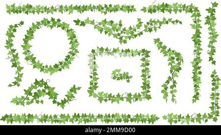 Ivy creepers. Climbing leaves vines on wall balcony hanging creeper, long vine plant wreath garland green leaf corner flora border garden liana ivies ingenious vector illustration of ivy wall plant Stock Vector