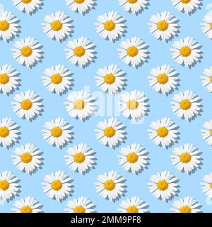 Flower seamless pattern with white daisies on blue background Stock Photo