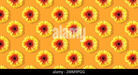 Daisy flowers seamless on sunny orange background.  Flat lay floral pattern Stock Photo