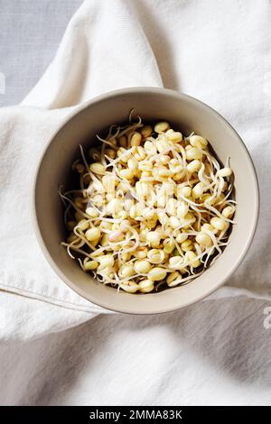 Bowl of fresh mung bean sprouts. Healthy food. Stock Photo