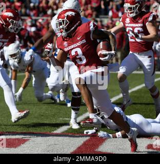 Oct 20, 2018: McTelvin Agim #3 Arkansas defensive end comes off the edge.  Arkansas defeated Tulsa 23-0 at Donald W. Reynolds Stadium in Fayetteville,  AR, Richey Miller/CSM Stock Photo - Alamy