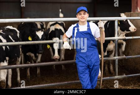 Farmer Man Rake Farmer man stands with rake at cow farm Stock Photo - Alamy