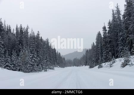 snow covered road between snowy trees in the mountains Stock Photo