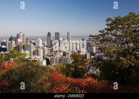 Montreal skyline taken from lookout on Mount Royal Park in autumn, Montreal, Quebec, Canada. Stock Photo