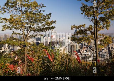 Montreal skyline taken from lookout on Mount Royal Park in autumn, Montreal, Quebec, Canada. Stock Photo