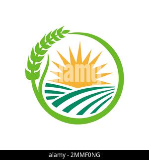 A vector illustration of Agriculture wheat rice green farm logo Stock Vector