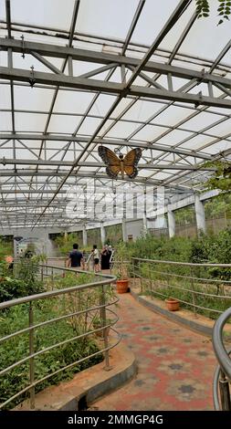 Vandalur,Tamilnadu,India-October 04 2022: Inside view of Beautiful ...
