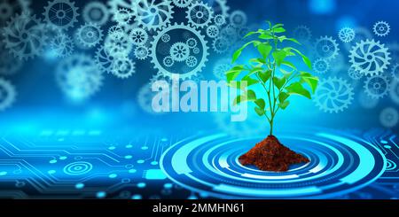 Green Plant sprout on soil with Cogwheels. Blue light and Technology background. Biotechnology, Biology, Ecology and Modern technology Concept. Stock Photo