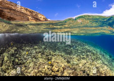 A split scene with a wave rolling over a shallow hard coral reef below and the volcanic cone islet of Molokina above, Hawaii. This is a state marine p Stock Photo