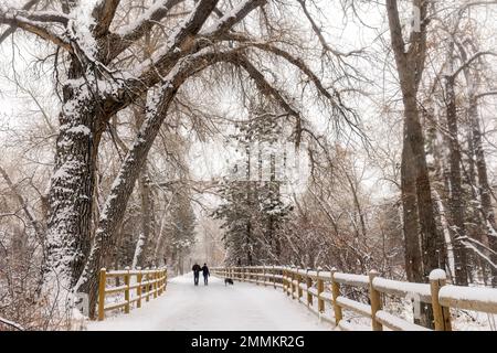 Couple walking their dog on Clear Creek Trail in winter. Golden, Colorado, USA Stock Photo