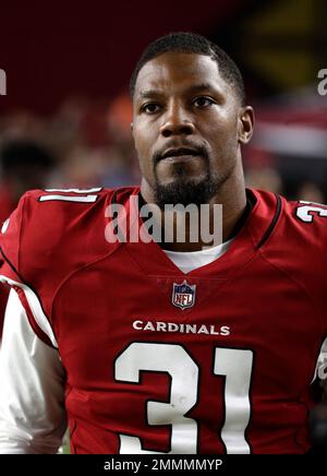 Arizona Cardinals running back David Johnson (31) wears custom cleats prior  to an NFL football game against the Pittsburgh Steelers, Sunday, Dec. 8,  2019, in Glendale, Ariz. (AP Photo/Ross D. Franklin Stock