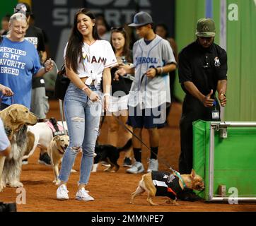 Bark at the Park 2016 - MISO PUP