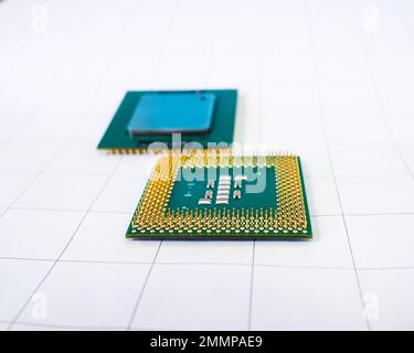 Selective focus on golden pins of computer processor on white background. Stock Photo