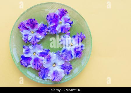 Lilac violet flowers lie on a green saucer on a yellow background. Top view, mock up, copy space. Postcard idea. Stock Photo