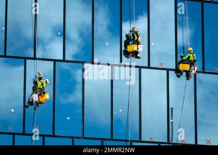 Window cleaners suspended on high rise building, Wellington, North Island, New Zealand Stock Photo