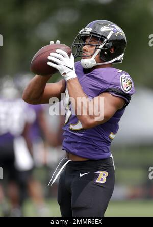 Baltimore Ravens defensive back Robert Jackson (17) runs for the