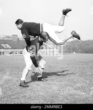 Chicago Bears Bronko Nagurski flips an unidentified teammate over his  shoulder in 1943. (AP Photo Stock Photo - Alamy