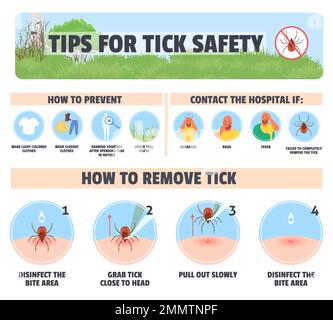 Tips for tick safety vector infographic design Stock Vector