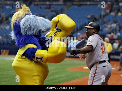 St. Petersburg, FL. USA; Tampa Bay Rays mascot Raymond was on the field  prior to a major league baseball game against the Toronto Blue Jays, Sunday  Stock Photo - Alamy