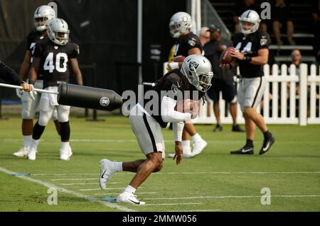 Oakland Raiders wide receiver Keon Hatcher (14) celebrates with