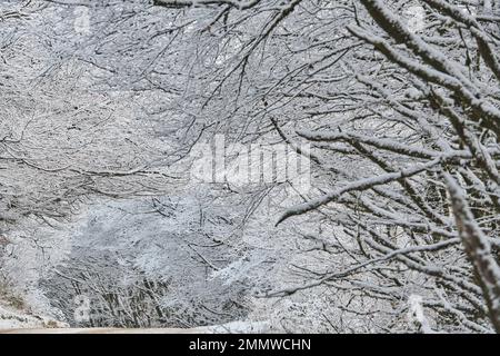 A snow covered road on Exmoor in Winter, Britain, UK Stock Photo