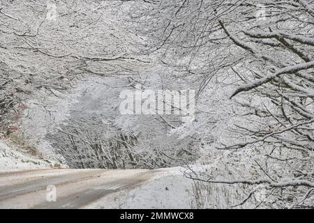 A snow covered road on Exmoor in Winter, Britain, UK Stock Photo