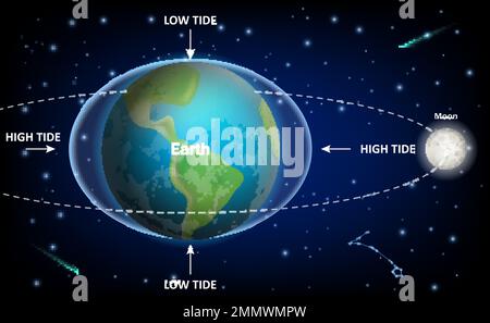 Low and high Moon tides, vector education diagram Stock Vector