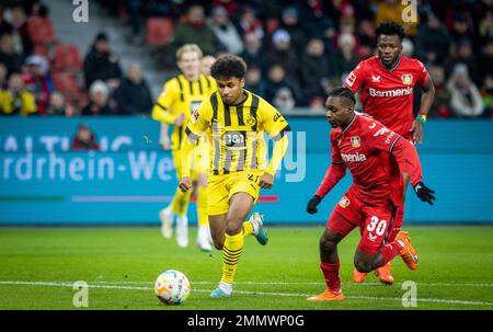 Leverkusen, Germany. 29th Jan, 2023.  Karim Adeyemi (BVB), Jeremie Frimpong (Leverkusen), Edmond Tapsoba (Leverkusen) Bayer Leverkusen - Borussia Dort Stock Photo