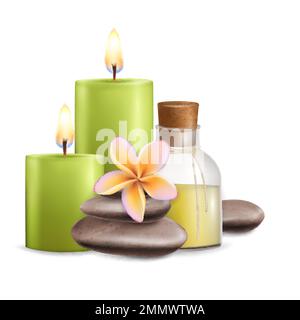 Wellness and spa salon services, vector illustration Stock Vector