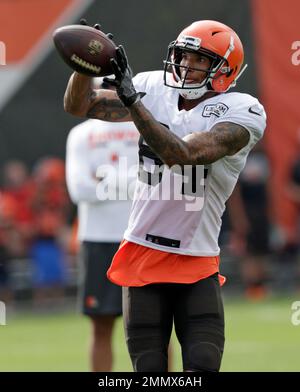 Cleveland Browns wide receiver Joe Jurevicius (84)) warms up prior