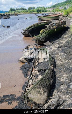 Derelict abandoned vessels in ships graveyard at Bowling Basin, Forth & Clyde Canal, Scotland Stock Photo