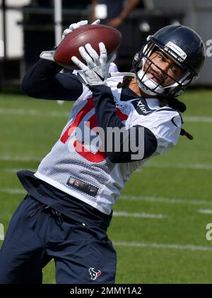 Houston Texans WR Will Fuller out vs. Oakland Raiders 