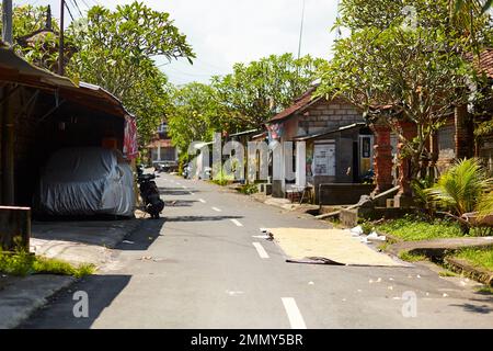 Asians dry rice on a hot day by spreading it out on the road. Stock Photo