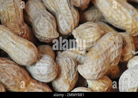Pile of Peanuts in the shell Stock Photo