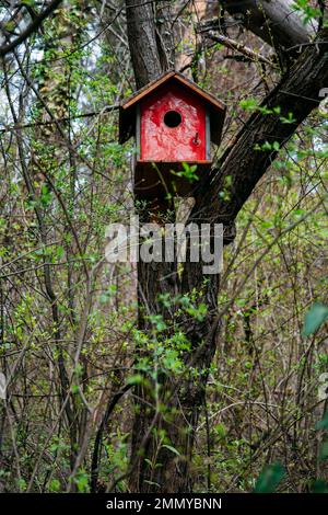 Red wooden birdhouse hanging from tree with trees and green leaves in background. High quality photo Stock Photo