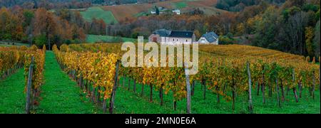 France, Pyrenees Atlantiques, Bearn, Gan Stock Photo