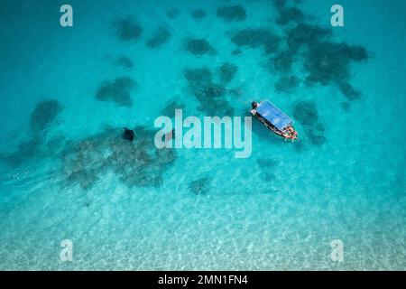 Manta rays and tourists on tour boat, wildlife tourism, with a drone Stock Photo