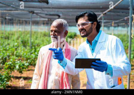 Agro scientist with senior indian farmer explaining from digital tablet at greenhouse - concept of modern agriculture, advising and technology Stock Photo