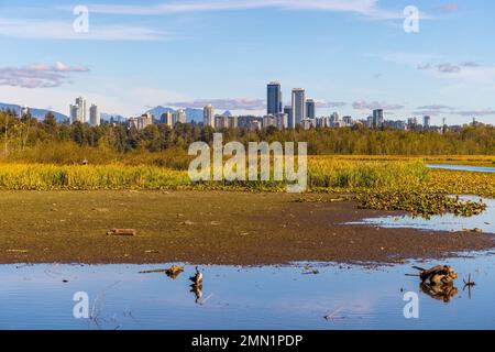 A landscape view of Burnaby Lake Stock Photo