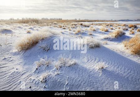 Surreal landscape of Ripple wave of sand dune covered with snow in the desert in Kazakhstan at winter Stock Photo