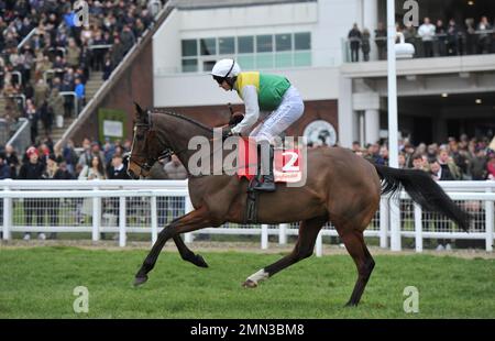 Race Three. The Glenfarclas Cross Country Chase.   Deise Aba ridden by Tom O'Brien on the way to the start.    Horse Racing at Cheltenham Racecourse, Stock Photo