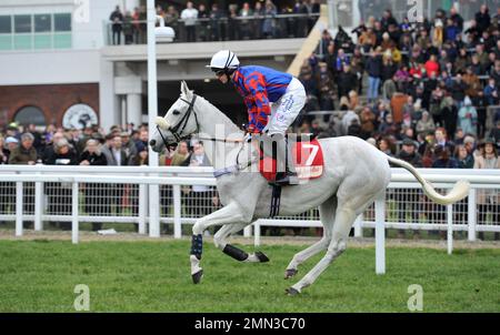 Race Three. The Glenfarclas Cross Country Chase.   Diesel D'Allier ridden by Harry Bannister on the way to the start.    Horse Racing at Cheltenham Ra Stock Photo